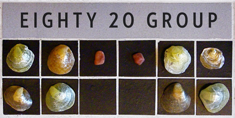 Eighty 20 Group